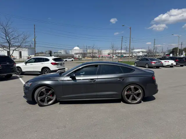 2019 Audi S5 TECHNIK AWD LEATHER PAN/ROOF NAV B/SPOT COOLED SEA - Photo 4