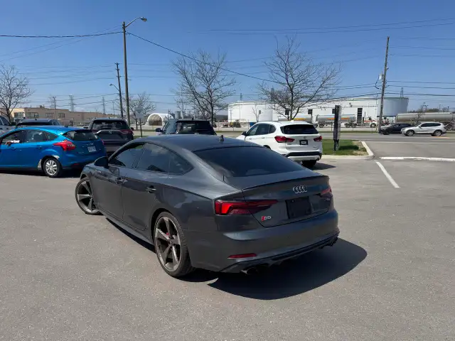2019 Audi S5 TECHNIK AWD LEATHER PAN/ROOF NAV B/SPOT COOLED SEA - Photo 5