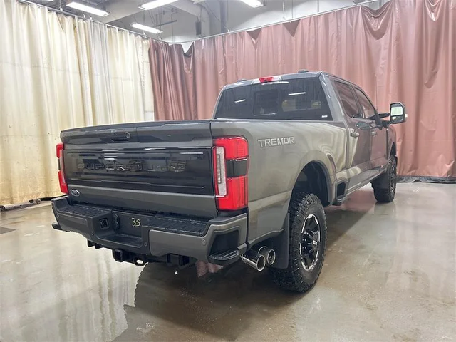 2026 FORD F-350 Super Duty Platinum - Photo 6