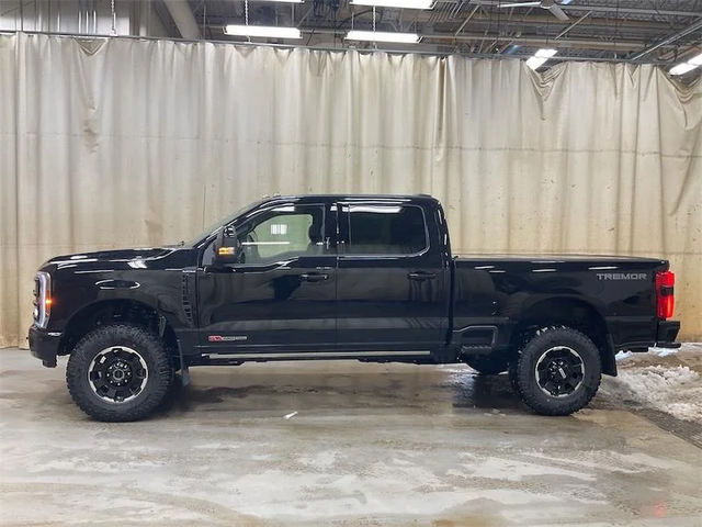 2026 FORD F-350 Super Duty Platinum - Photo 2