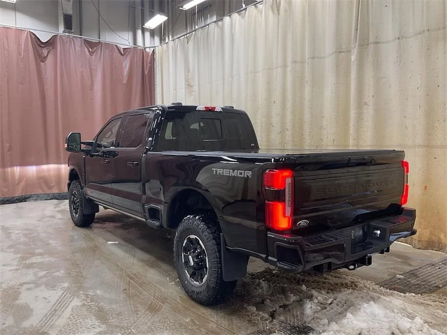 2026 FORD F-350 Super Duty Platinum - Photo 4