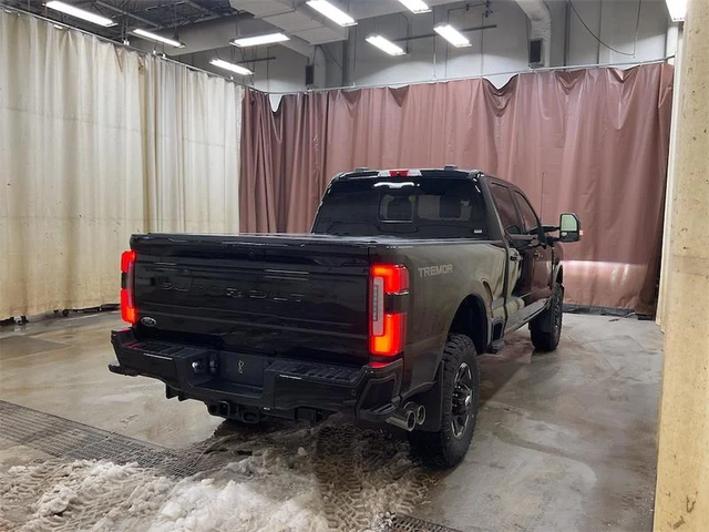 2026 FORD F-350 Super Duty Platinum - Photo 6