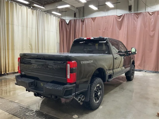 2026 FORD F-350 Super Duty Platinum - Photo 6