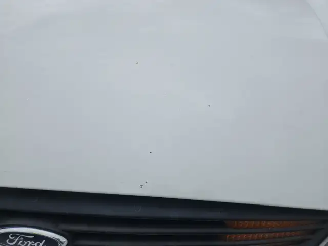 2004 Ford Focus - Photo 37