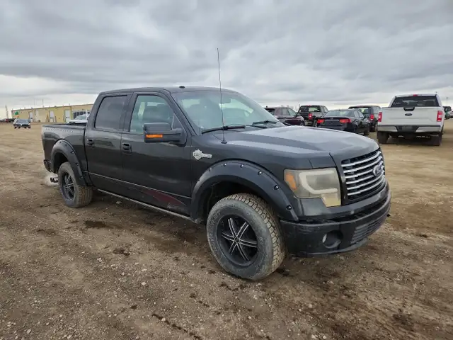 2010 Ford F-150 - Photo 2