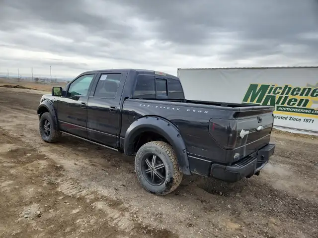 2010 Ford F-150 - Photo 3