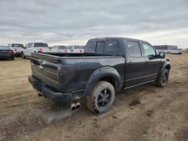2010 Ford F-150 - Photo 4