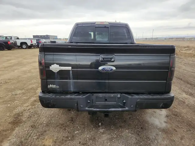 2010 Ford F-150 - Photo 6