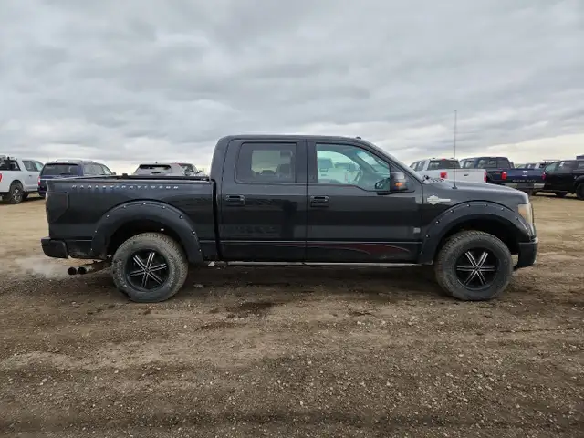 2010 Ford F-150 - Photo 7