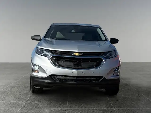 2020 Chevrolet Equinox LS - Photo 10