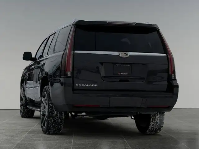 2016 Cadillac Escalade Luxury Collection - Photo 4