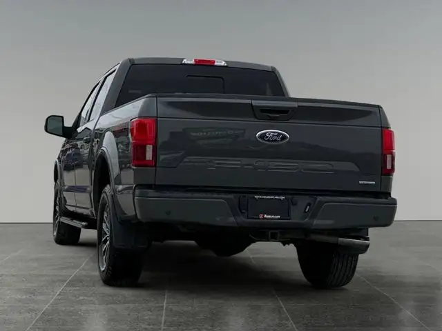2020 Ford F-150 LARIAT - Photo 4