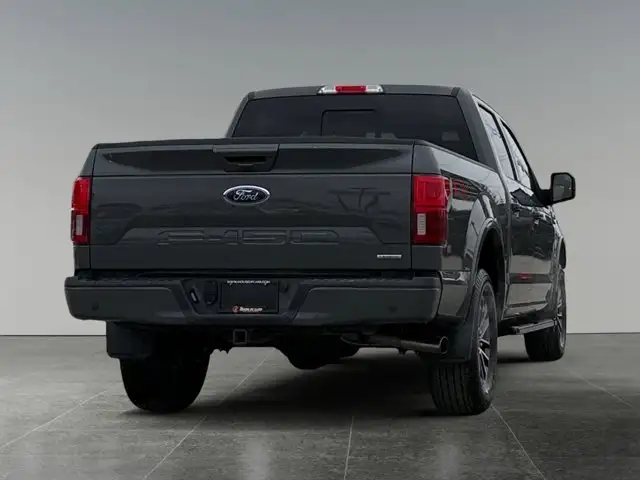 2020 Ford F-150 LARIAT - Photo 7