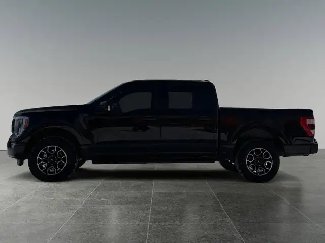 2021 Ford F-150 LARIAT - Photo 2