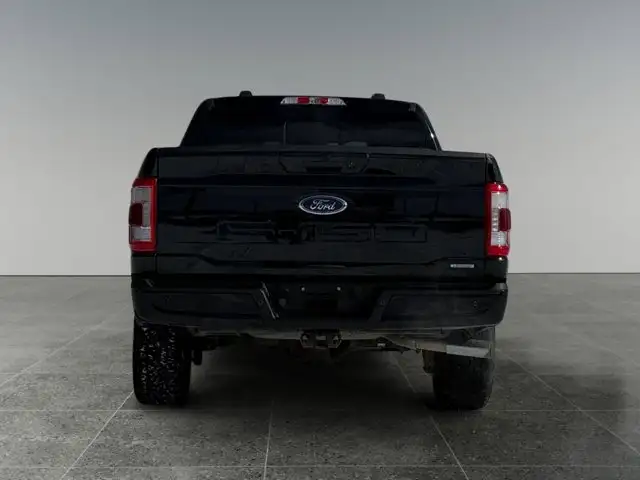 2021 Ford F-150 LARIAT - Photo 5