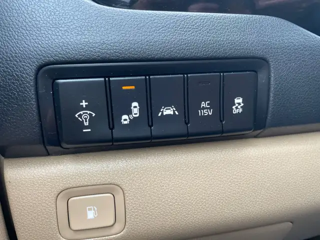 2015 Kia Sedona 4dr Wgn - Photo 13