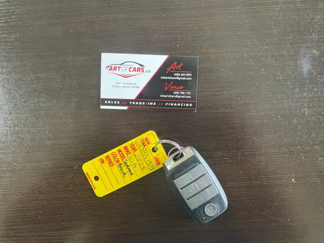 2015 Kia Sedona 4dr Wgn - Photo 18