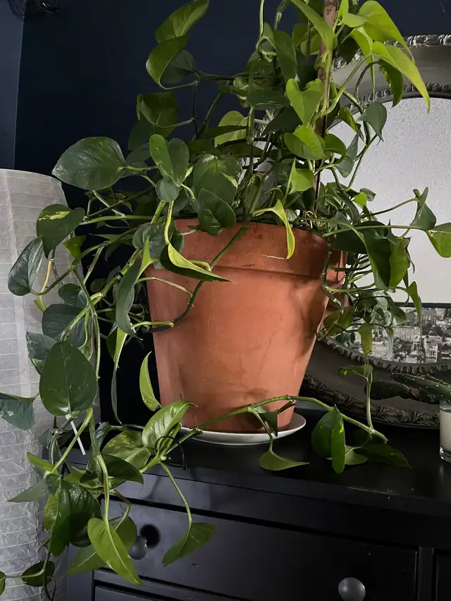 Home Stewardship Manotick Barrhaven - Photo 3