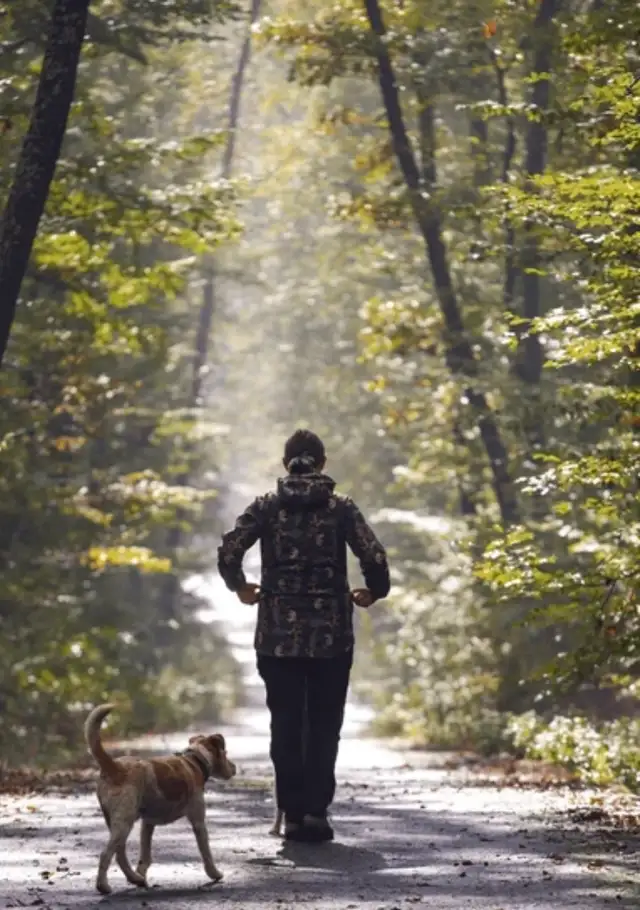 Home Stewardship Manotick Barrhaven - Photo 4