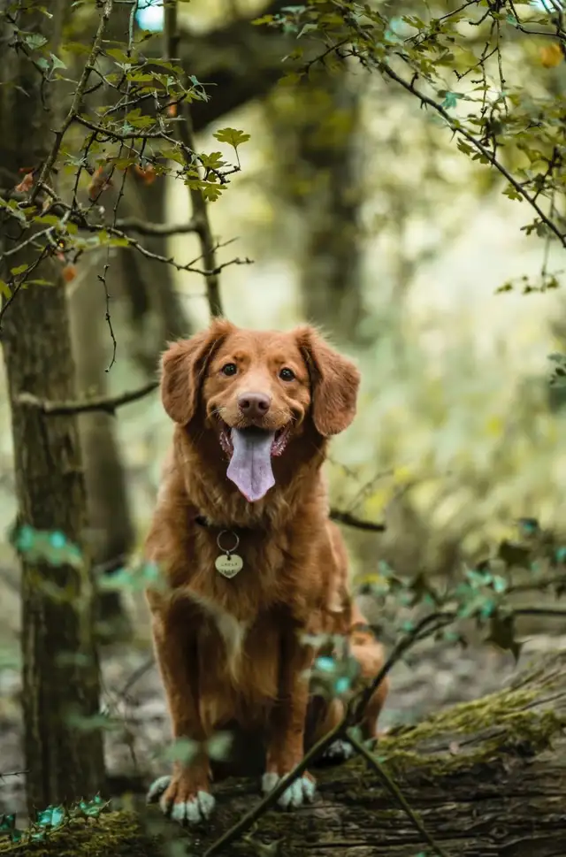Home Stewardship Manotick Barrhaven - Photo 5