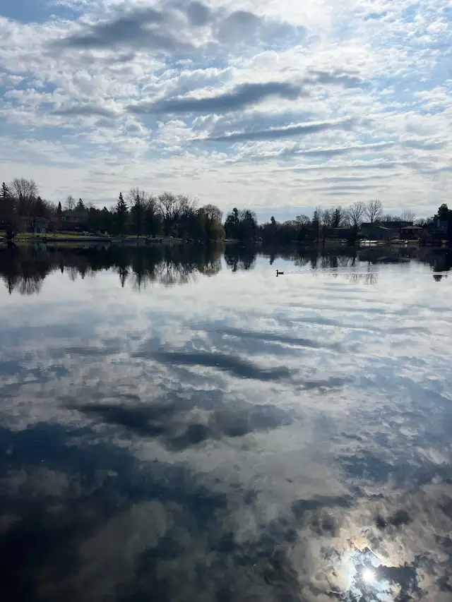 Home Stewardship Manotick Barrhaven - Photo 6