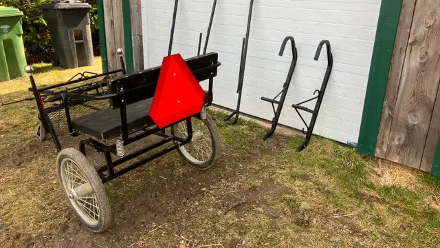 Selky pour chevaux miniatures ou poneys - Photo 3