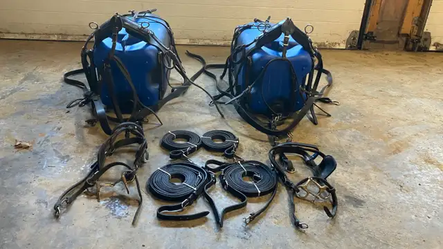 Attelages pour chevaux miniatures ou poneys - Photo 2