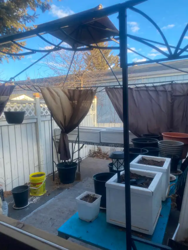 Furnished Master Bedroom!! - Photo 6