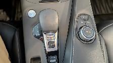 2021 Infiniti QX50 LUXE I-LINE Package | No Accidents - Photo 22