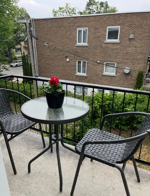 renovated 3 1/2 à louer