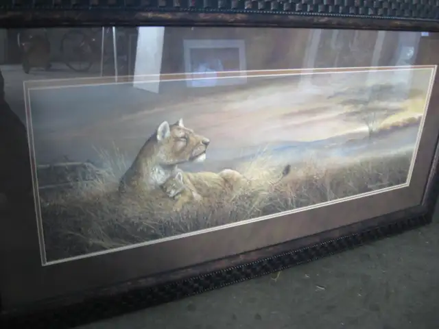 Framed Pictures for sale - Photo 2