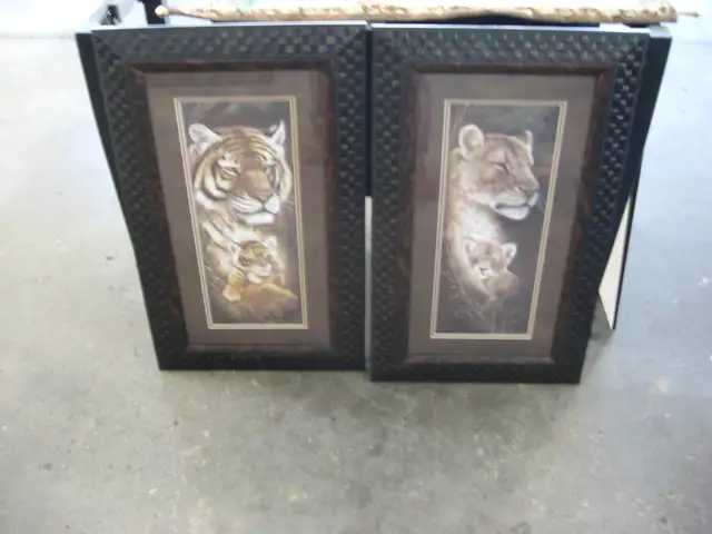 Framed Pictures for sale - Photo 3