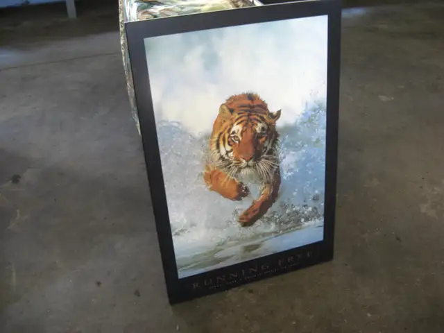 Framed Pictures for sale - Photo 5