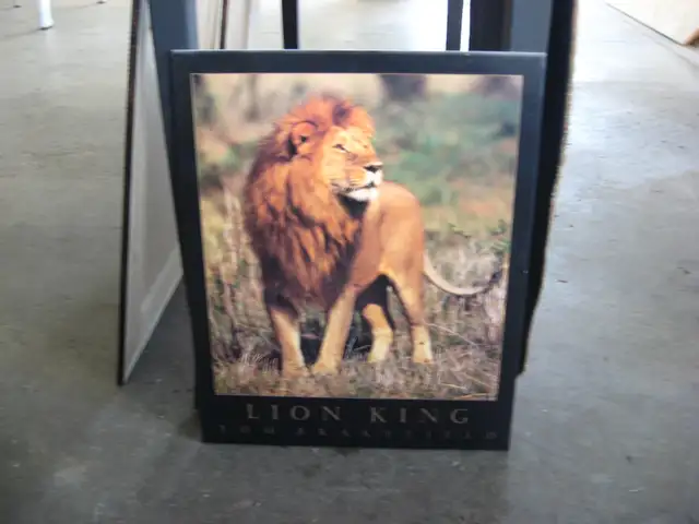 Framed Pictures for sale - Photo 6