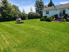 hardworking Labourer Seeking lawn care lawn mowing work asap