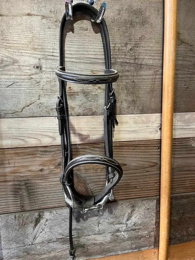 pony headstall and bit