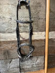 pony headstall and bit