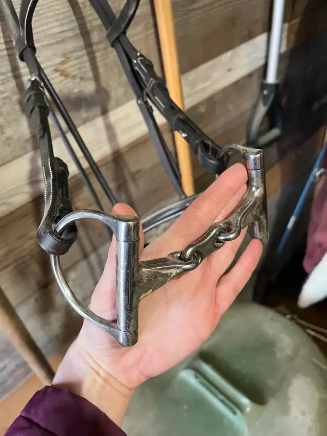 pony headstall and bit - Photo 2