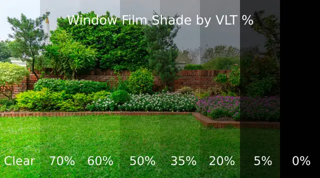 Tinted Privacy Window Film - Photo 9