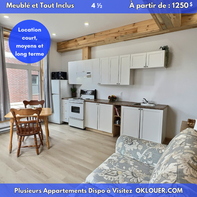 APPARTEMENT MEUBLÉ-TOUT INCLUS 4 1/2 CENTRE VILLE