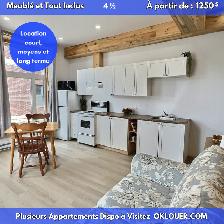 APPARTEMENT MEUBLÉ-TOUT INCLUS 4 1/2 CENTRE VILLE