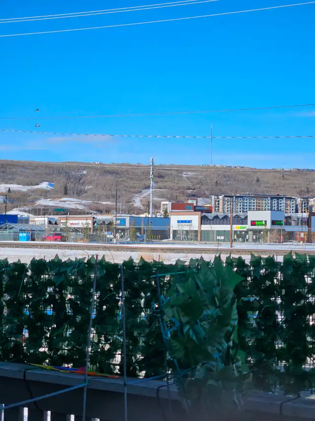 3 1 bedroom 2 full wash duplex for rent in Bowness area, Calgary - Photo 9