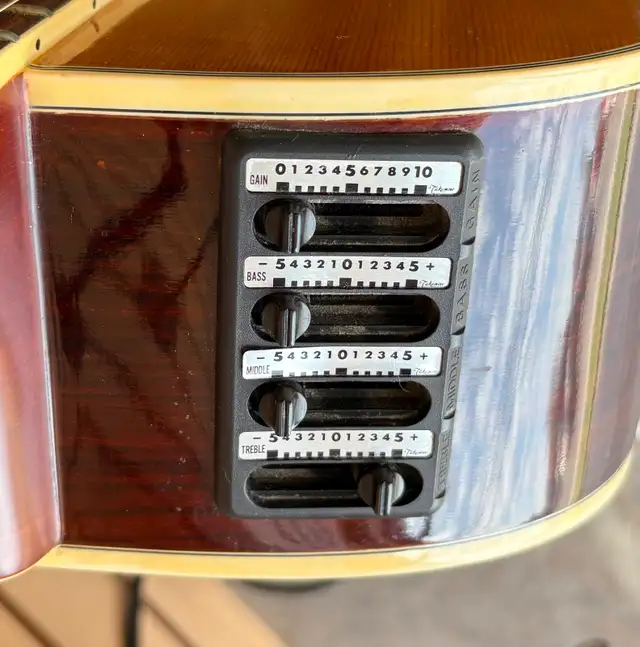 Jasmine TS612C Acoustic Electric Hybrid 12-String Guitar - Photo 3