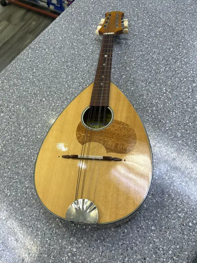 Suzuki Violin CO No 60 Mandolin 1970