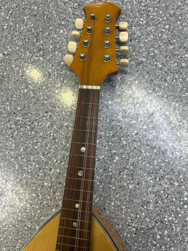 Suzuki Violin CO No 60 Mandolin 1970 - Photo 2