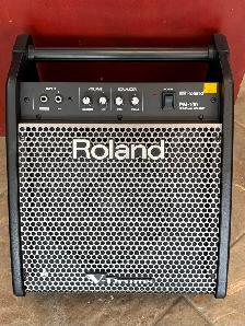 Roland pm-100 Full Range Amp