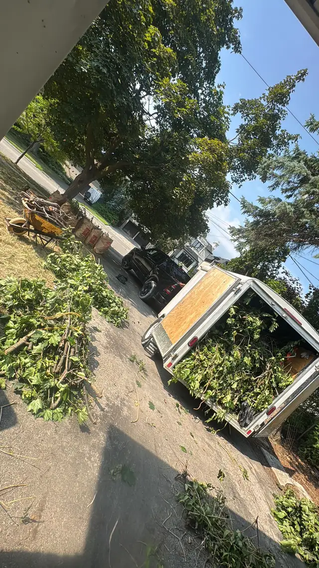 LANDSCAPING AND GARDEN MAINTENANCE SERVICE - Photo 2