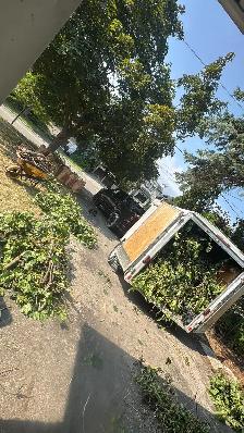 LANDSCAPING AND GARDEN MAINTENANCE SERVICE - Photo 2