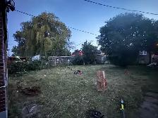 LANDSCAPING AND GARDEN MAINTENANCE SERVICE - Photo 3
