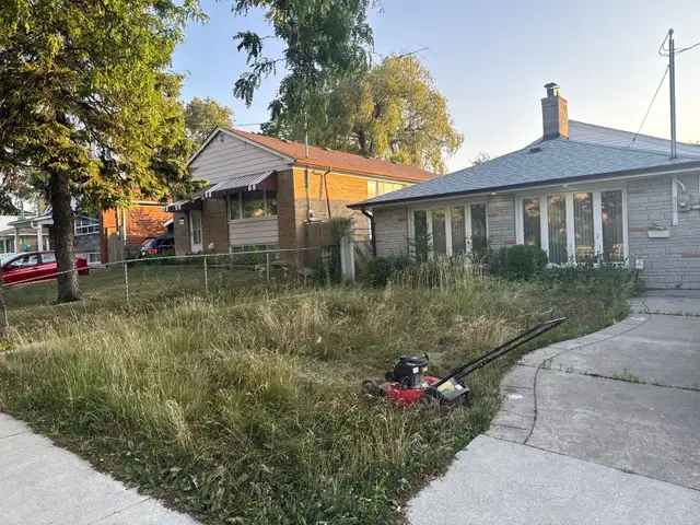 LANDSCAPING AND GARDEN MAINTENANCE SERVICE - Photo 4